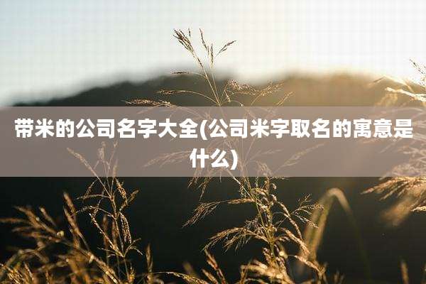 带米的公司名字大全(公司米字取名的寓意是什么)