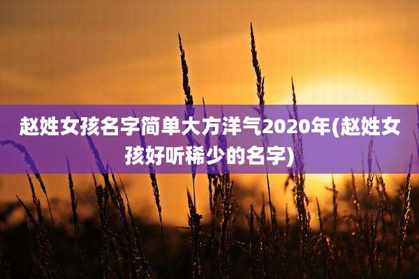 赵姓女孩名字简单大方洋气2020年(赵姓女孩好听稀少的名字)