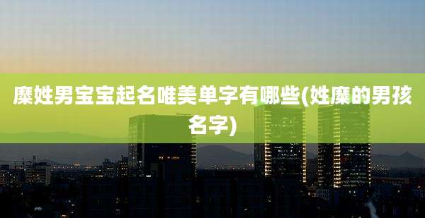 糜姓男宝宝起名唯美单字有哪些(姓糜的男孩名字)