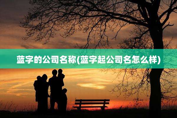 蓝字的公司名称(蓝字起公司名怎么样)