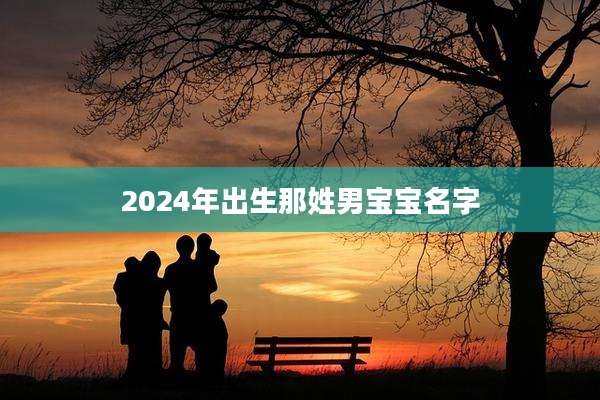 2024年出生那姓男宝宝名字