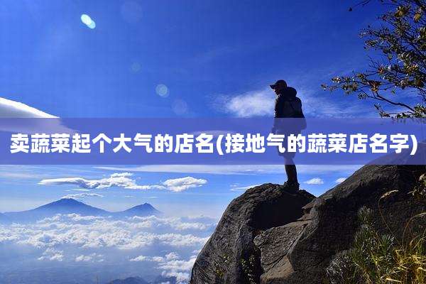 卖蔬菜起个大气的店名(接地气的蔬菜店名字)