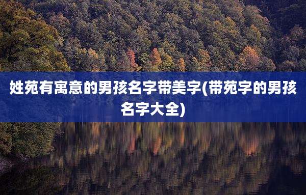 姓苑有寓意的男孩名字带美字(带苑字的男孩名字大全)