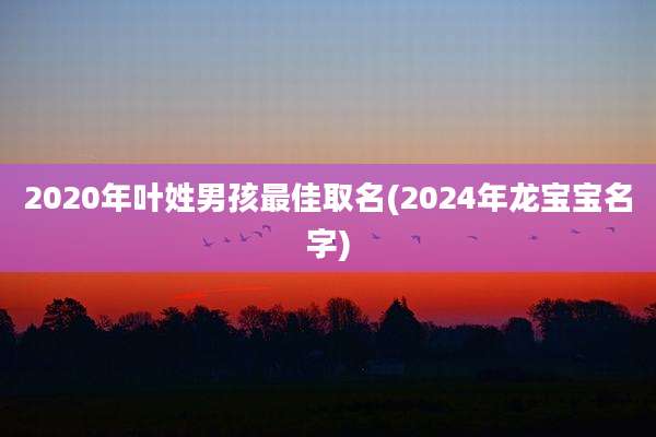 2020年叶姓男孩最佳取名(2024年龙宝宝名字)