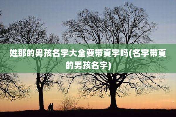 姓那的男孩名字大全要带夏字吗(名字带夏的男孩名字)