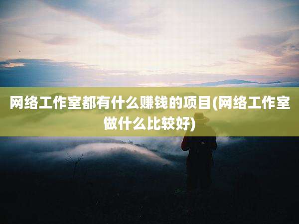网络工作室都有什么赚钱的项目(网络工作室做什么比较好)