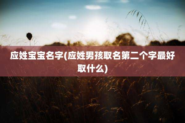 应姓宝宝名字(应姓男孩取名第二个字最好取什么)