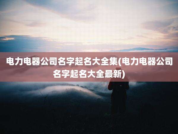 电力电器公司名字起名大全集(电力电器公司名字起名大全最新)