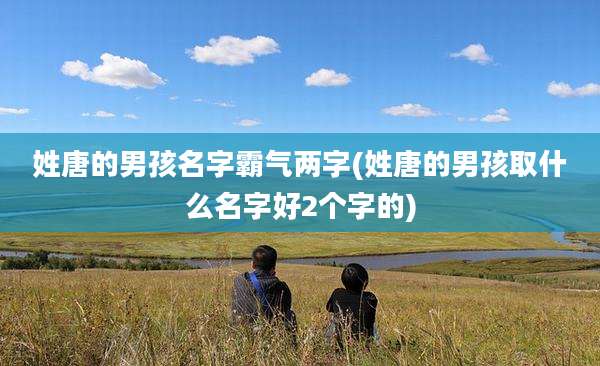 姓唐的男孩名字霸气两字(姓唐的男孩取什么名字好2个字的)