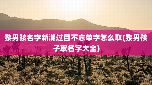 黎男孩名字新潮过目不忘单字怎么取(黎男孩子取名字大全)