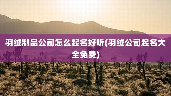 羽绒制品公司怎么起名好听(羽绒公司起名大全免费)