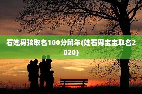 石姓男孩取名100分鼠年(姓石男宝宝取名2020)