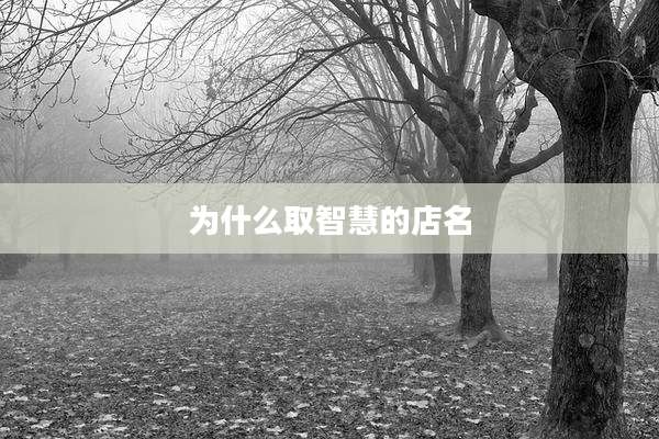 为什么取智慧的店名