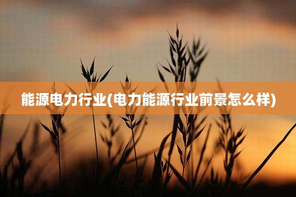 能源电力行业(电力能源行业前景怎么样)