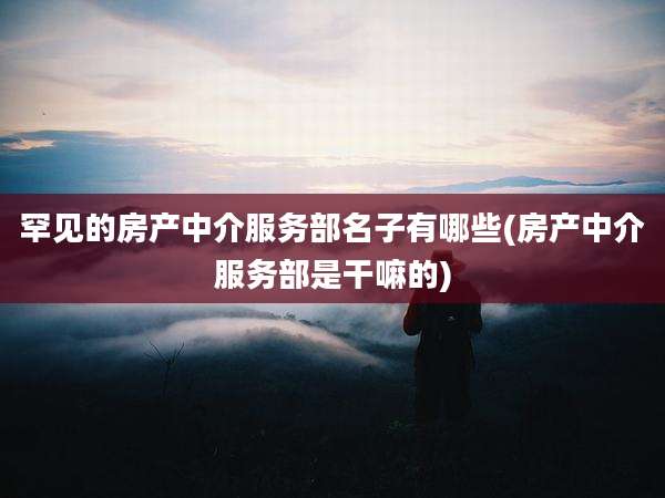 罕见的房产中介服务部名子有哪些(房产中介服务部是干嘛的)