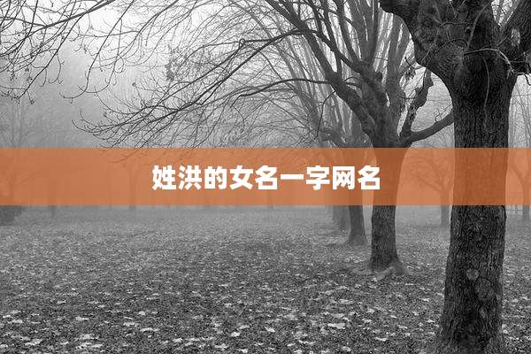 姓洪的女名一字网名