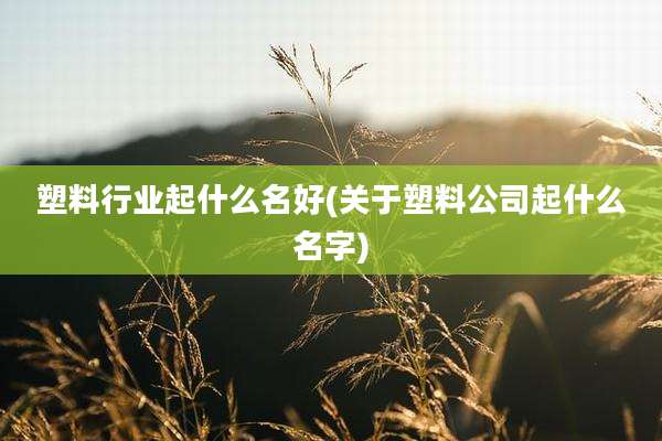 塑料行业起什么名好(关于塑料公司起什么名字)