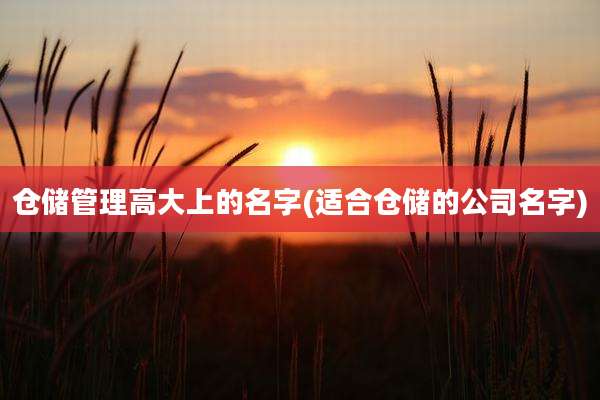 仓储管理高大上的名字(适合仓储的公司名字)