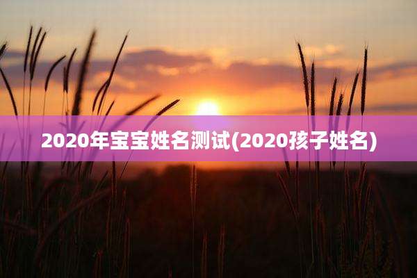2020年宝宝姓名测试(2020孩子姓名)