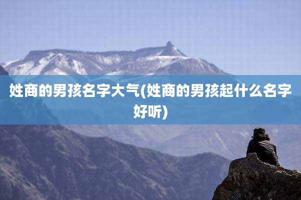 姓商的男孩名字大气(姓商的男孩起什么名字好听)