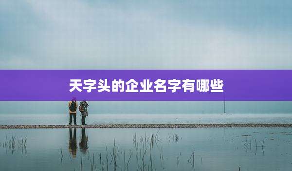 天字头的企业名字有哪些