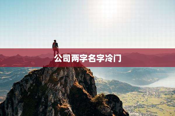 公司两字名字冷门