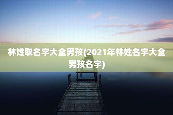 林姓取名字大全男孩(2021年林姓名字大全男孩名字)