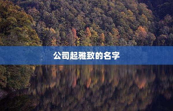 公司起雅致的名字