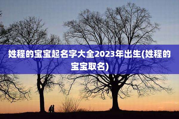姓程的宝宝起名字大全2023年出生(姓程的宝宝取名)