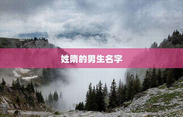 姓隋的男生名字