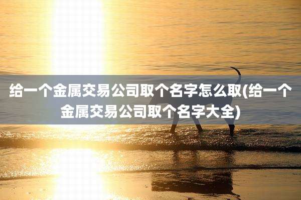 给一个金属交易公司取个名字怎么取(给一个金属交易公司取个名字大全)