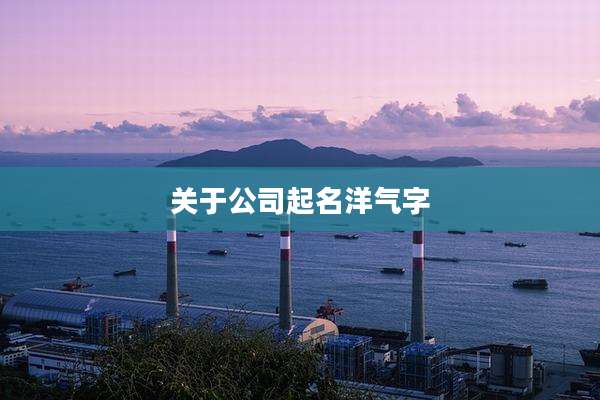 关于公司起名洋气字