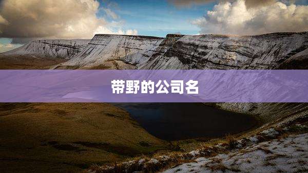 带野的公司名