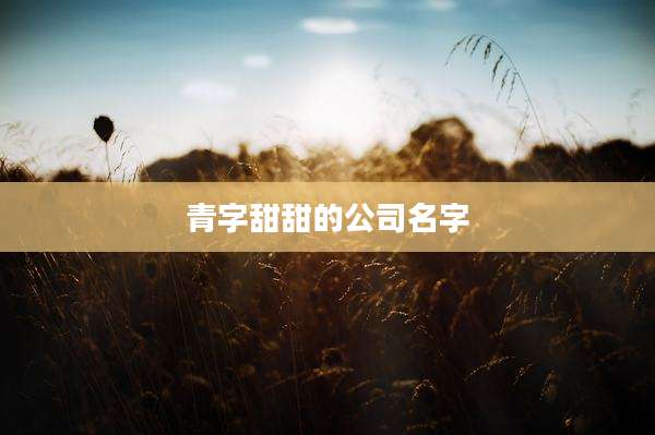 青字甜甜的公司名字