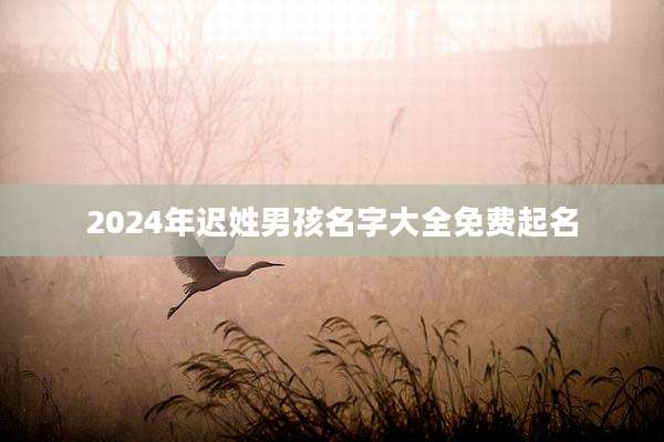 2024年迟姓男孩名字大全免费起名