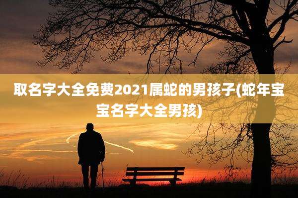 取名字大全免费2021属蛇的男孩子(蛇年宝宝名字大全男孩)
