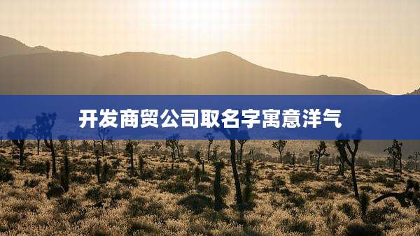 开发商贸公司取名字寓意洋气