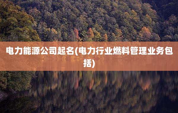 电力能源公司起名(电力行业燃料管理业务包括)