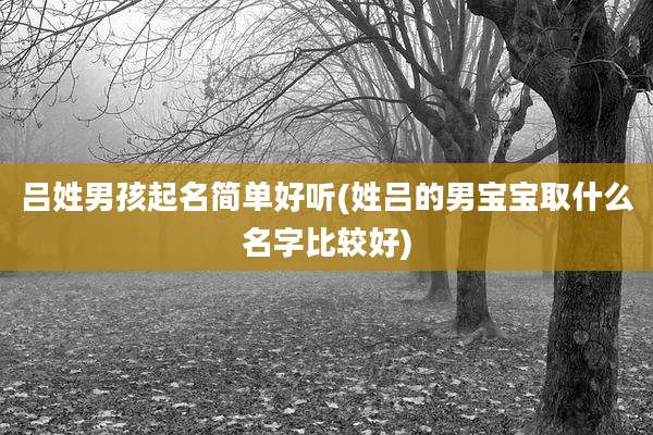 吕姓男孩起名简单好听(姓吕的男宝宝取什么名字比较好)