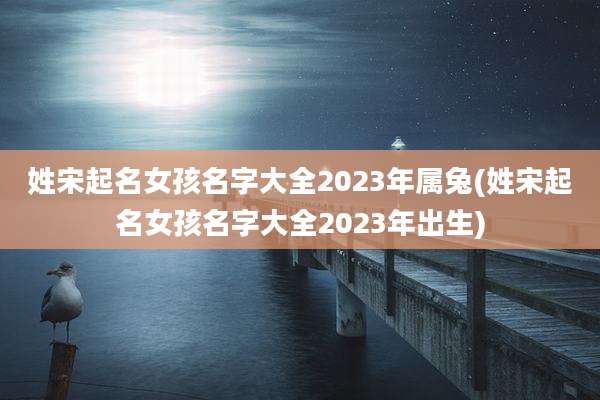 姓宋起名女孩名字大全2023年属兔(姓宋起名女孩名字大全2023年出生)