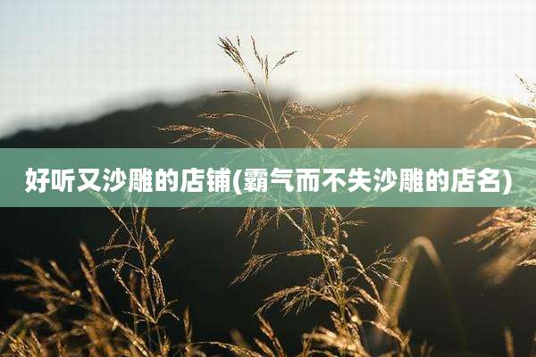 好听又沙雕的店铺(霸气而不失沙雕的店名)