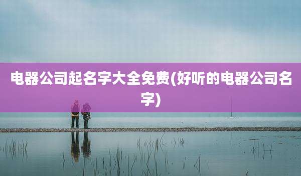 电器公司起名字大全免费(好听的电器公司名字)