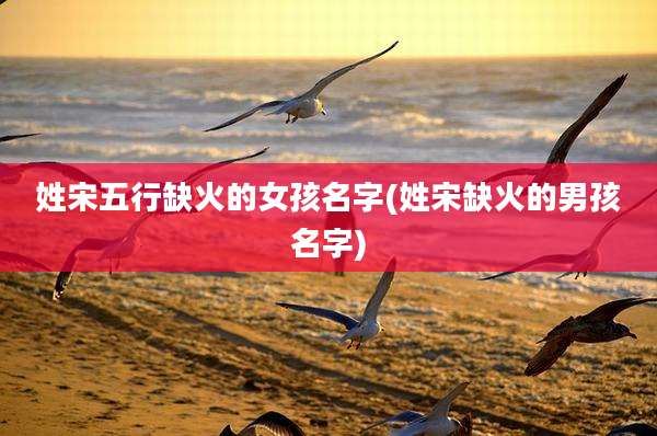 姓宋五行缺火的女孩名字(姓宋缺火的男孩名字)