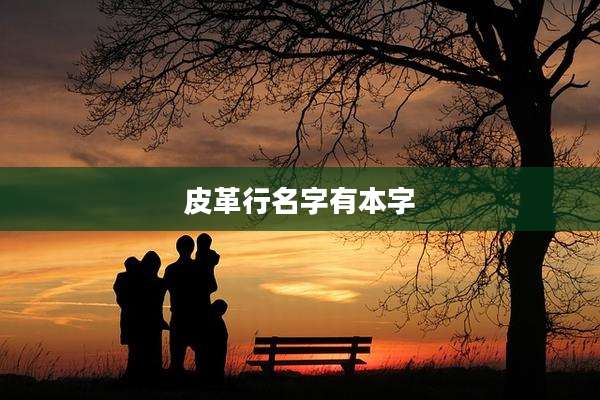 皮革行名字有本字