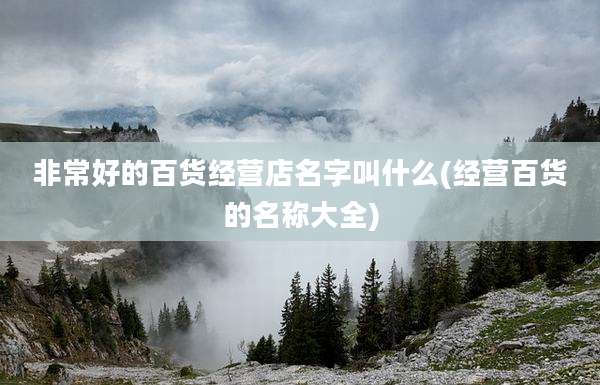 非常好的百货经营店名字叫什么(经营百货的名称大全)