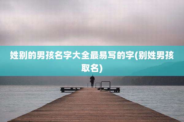 姓别的男孩名字大全最易写的字(别姓男孩取名)