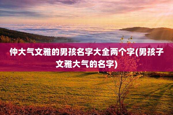仲大气文雅的男孩名字大全两个字(男孩子文雅大气的名字)