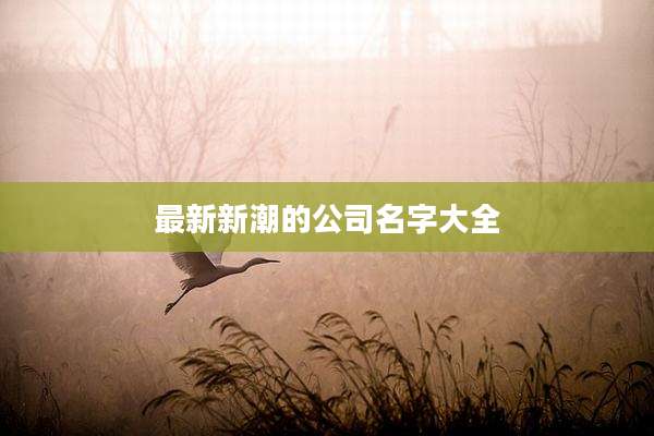 最新新潮的公司名字大全