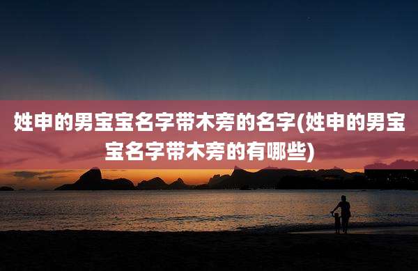 姓申的男宝宝名字带木旁的名字(姓申的男宝宝名字带木旁的有哪些)