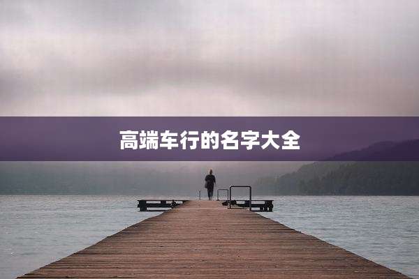 高端车行的名字大全